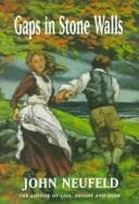 Cover of Gaps in Stone Walls