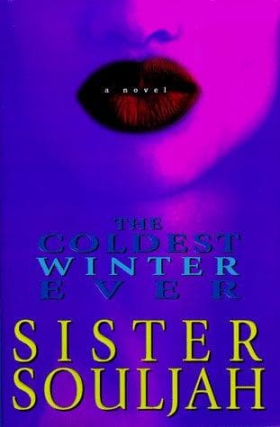 Cover of The coldest winter ever