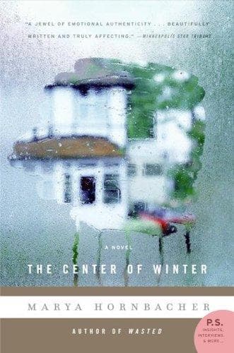 Cover of The center of winter