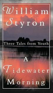 Cover of A Tidewater Morning
