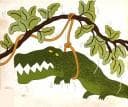Cover of Crocodile's Tale