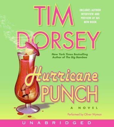 Cover of Hurricane punch