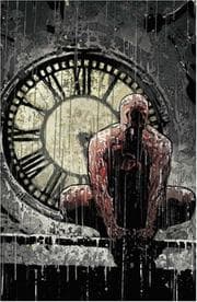 Cover of Widow