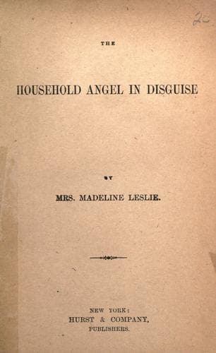 Cover of The household angel in disguise