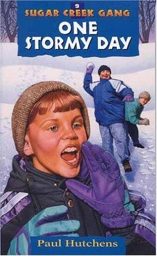 Cover of One Stormy Day