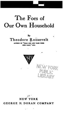 Cover of Foes of Our Own Household