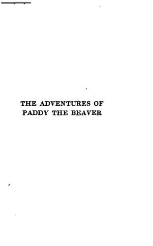 Cover of Adventures of Paddy the Beaver