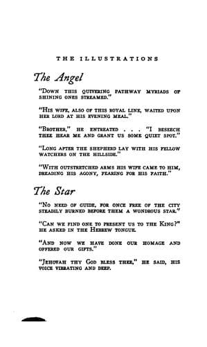Cover of The angel and the star