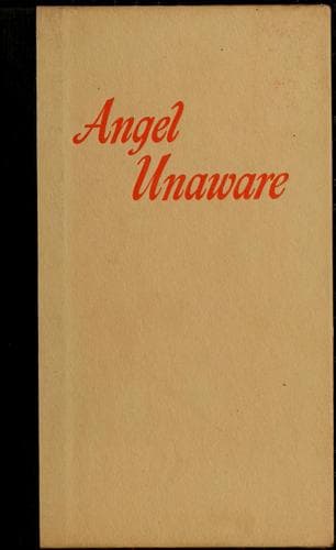 Cover of Angel unaware
