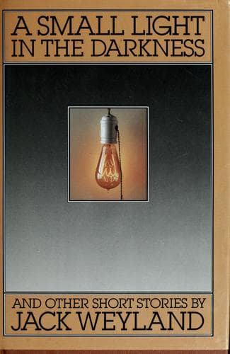 Cover of A small light in the darkness