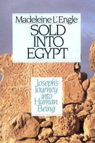 Cover of Sold into Egypt