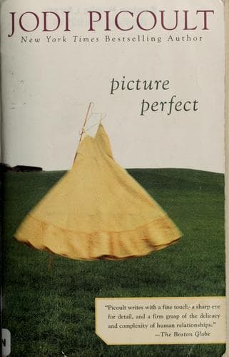 Cover of Picture perfect