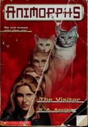 Cover of The Visitor