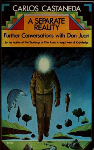 Cover of Separate Reality