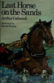 Cover of Last horse on the sands