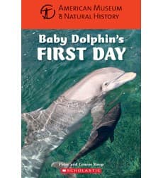 Cover of Baby Dolphin's First Day