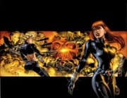 Cover of Black Widow The Itsybitsy Spider
