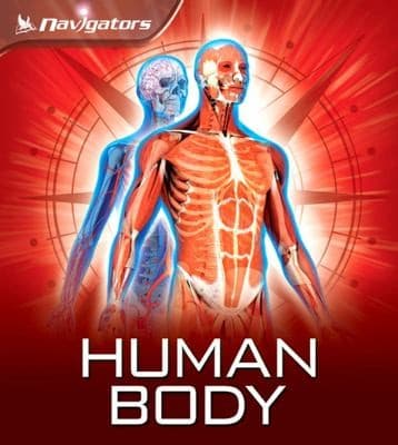 Cover of Human Body
            
                Navigators