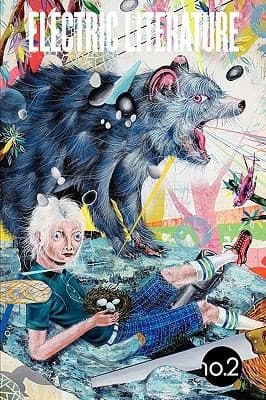 Cover of Electric Literature No 2