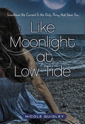 Cover of Like Moonlight At Low Tide