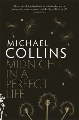 Cover of Midnight In A Perfect Life