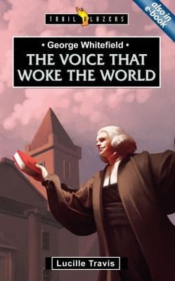 Cover of George Whitefield
            
                Big Box Little Box