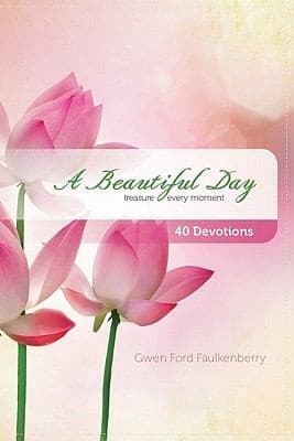 Cover of A Beautiful Day
            
                Pocket Inspirations Book