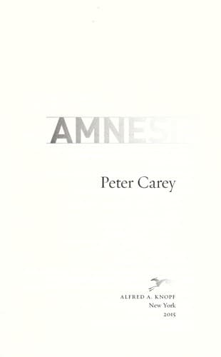 Cover of Amnesia