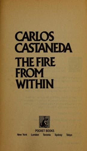 Cover of The fire from within
