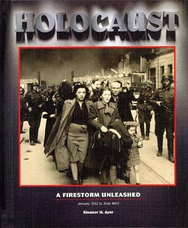 Cover of A Firestorm Unleashed, Vol.4