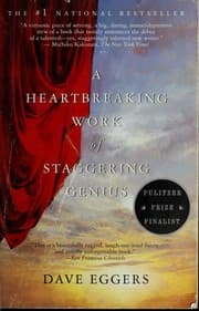 Cover of A heartbreaking work of staggering genius