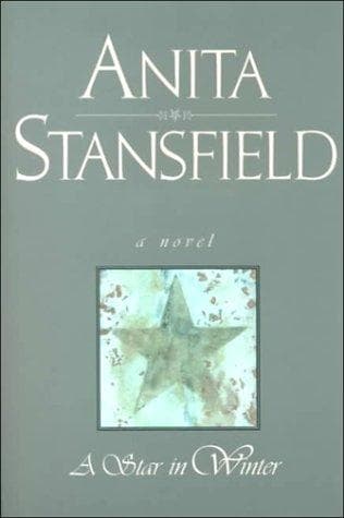 Cover of A star in winter