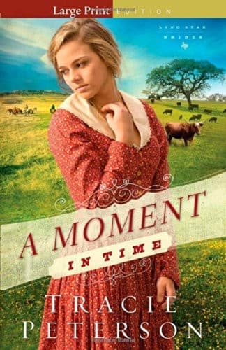Cover of A Moment in Time