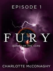 Cover of Fury