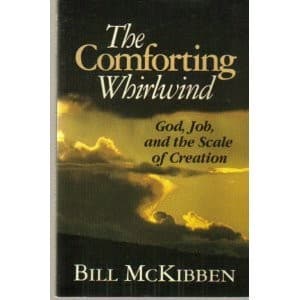 Cover of The comforting whirlwind