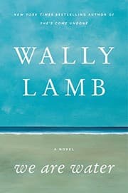 Cover of We Are Water