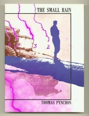 Cover of The small rain