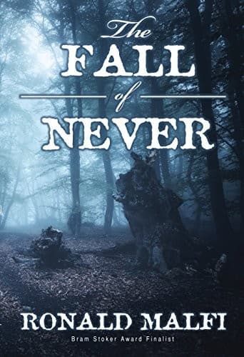 Cover of The Fall of Never