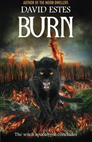 Cover of Burn (Salem's Revenge)