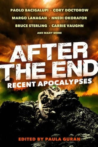 Cover of After the End: Recent Apocalyses