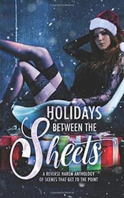 Cover of Holidays Between the Sheets: A Reverse Harem Anthology of Festive Scenes that Get to the Point
