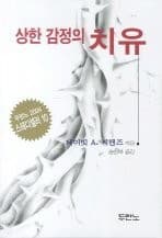 Cover of Healing for Damaged Emotions (Korean Edition)