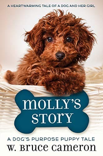 Cover of Molly's story