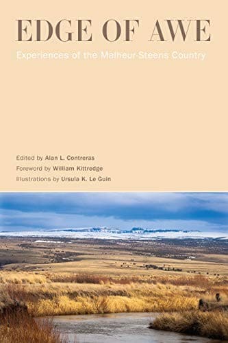 Cover of Edge of Awe