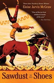 Cover of Sawdust in His Shoes