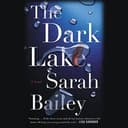 Cover of The Dark Lake