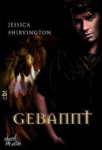 Cover of Gebannt