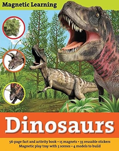 Cover of Magnetic Learning