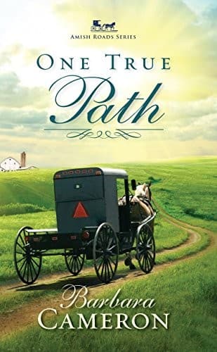 Cover of One True Path