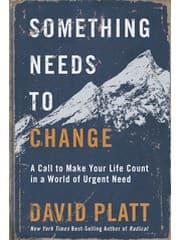 Cover of Something needs to change